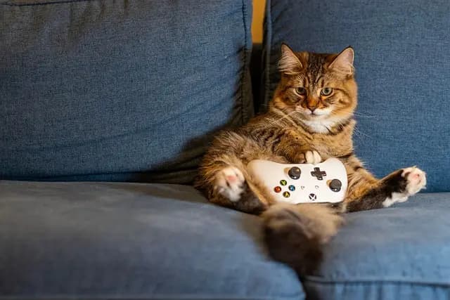 Ultimate Guide to Top-Rated Gaming Chairs for Black Friday