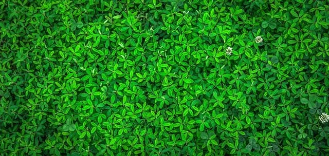 Best Eco-Friendly Products on Black Friday